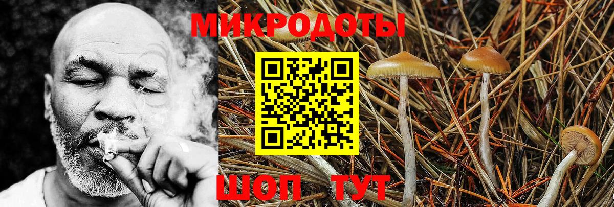 Псилоцибиновые грибы прущие грибы Белогорск